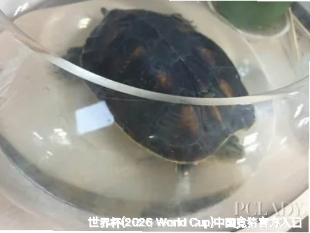 服务理念与承诺