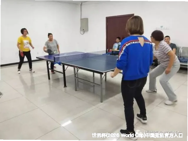 未来愿景与发展方向
